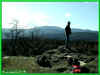 010410003.jpg (54450 Byte)