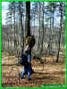 010410007.jpg (97252 Byte)