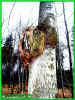 010410009.jpg (87253 Byte)
