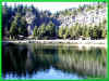010411041.jpg (71493 Byte)