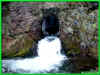 010411068.jpg (65223 Byte)