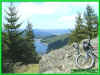 010412079.jpg (67695 Byte)