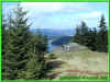 010412081.jpg (68652 Byte)