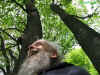 norby 10-05-2012 4538.jpg (99902 Byte)